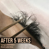 Eyelash Extensions Glue - LASHPIRE® Black Label - Lashpire